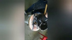 Замена подшипников дифференциала hyundai accent