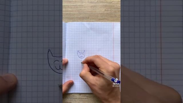 возраст кошек с возрастом человека смотреть онлайн