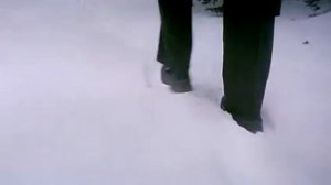 Запятнанная репутация