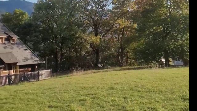 Деревня Эмира Кустурицы. Дервенград смотреть онлайн