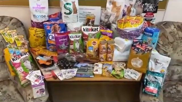 Акция "Доброе сердце" для бездомных животных приюта "Кожухово" (ГБОУ Школа №1507, 2022 год) смотреть онлайн