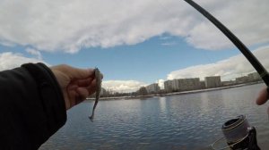 Ronin Rush Insider 762MH