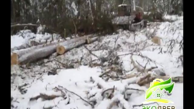 Опиливание хлыстов и транспортировка. Компания "ЭкоДрев" смотреть онлайн