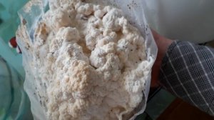 Ежевик гребенчатый уже растет! Выращиваем грибы лечебные.