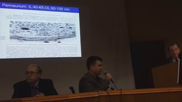 Периферические нервы: анатомия (prof. Hanno Millesi) ч.1 смотреть онлайн