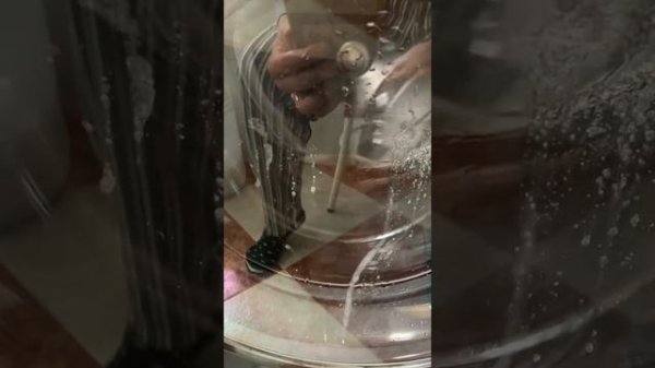 Cleaning my washer, descal + intense clean. Miele W1