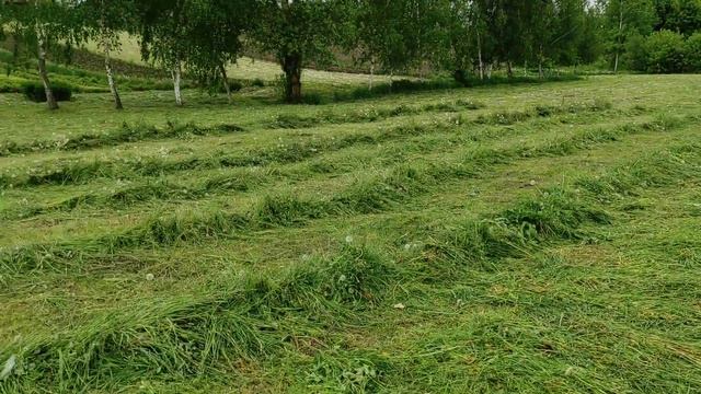 СУПЕР МОТОКОСА FORTE MK-40 T В ДЕЛЕ! смотреть онлайн