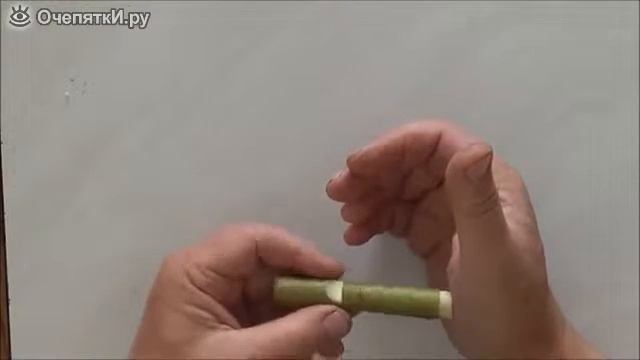 Как сделать свисток из ветки смотреть онлайн