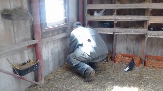 Молодёж 2017 смотреть онлайн