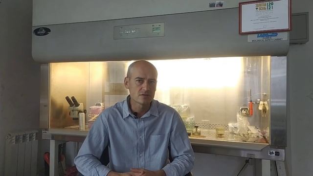 Самые ранние сорта ремонтантной малины смотреть онлайн