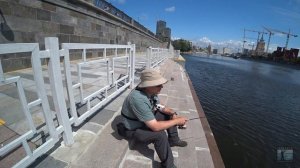 Тараканинг это вам не мормышинг! Огромные голавли в центре Москвы. Стритфишинг