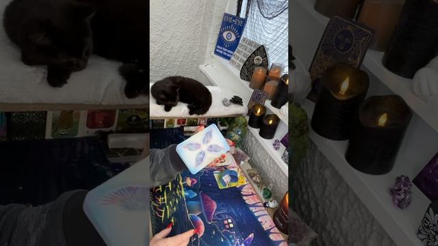 Part 1 of a very important message from Angels!!!! This found you for a reason!! смотреть онлайн