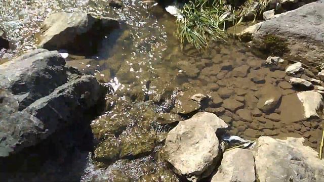 Глубокое. Окунь на живца. Водопад смотреть онлайн