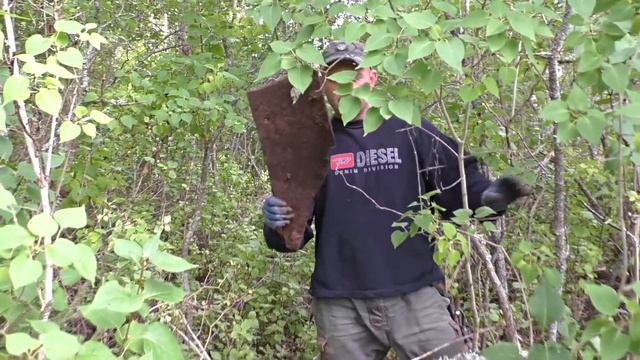 Деревня времён Екатерины. Завораживающие места.