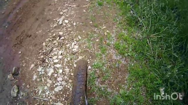 ЭКСТРИМАЛЬНЫЕ ПОКАТУШКИ НА BMX|ТРЮКИ|ДРУЗЬЯ|