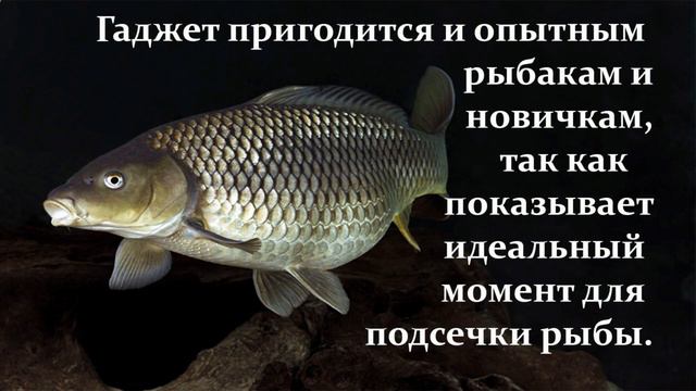 Светящийся поплавок. смотреть онлайн