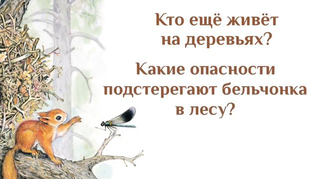 Познаем мир вокруг нас / Приключения Бельчонка смотреть онлайн
