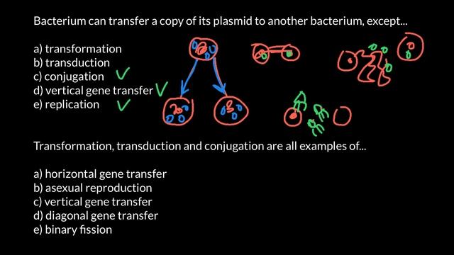 Examples of Horizontal and Vertical Gene Transfer смотреть онлайн