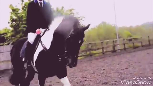 КАЖДЫЙ КОННИК ОБЯЗАН ПОСМОТРЕТЬ. КЛИП♥ смотреть онлайн