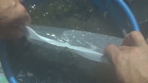 Земля для аквариума своими руками.-Что класть на дно в аквариум?|Подложка для запуска