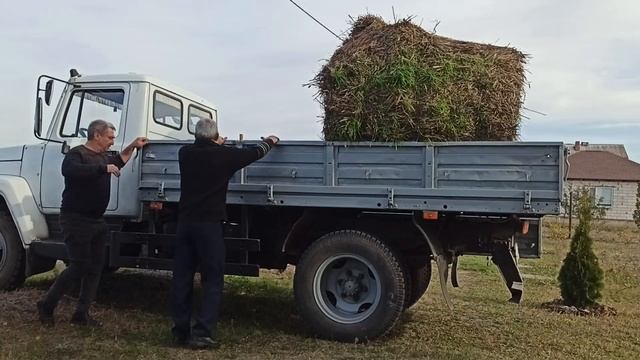 Как мульчировать растения на своём участке смотреть онлайн