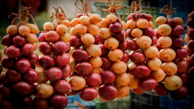 Приметы про лук: магические обряды и бытовые поверья смотреть онлайн