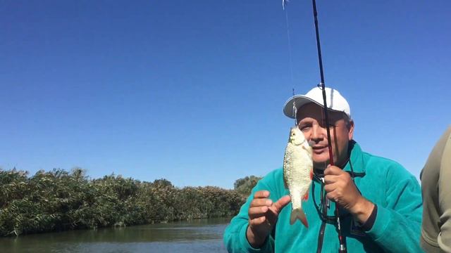 Дунай, золотая осень! смотреть онлайн