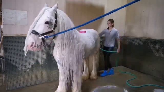 Тинкер Титан готовится к фотосессии смотреть онлайн