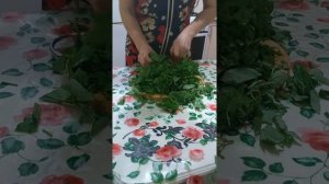 Сушка сныти