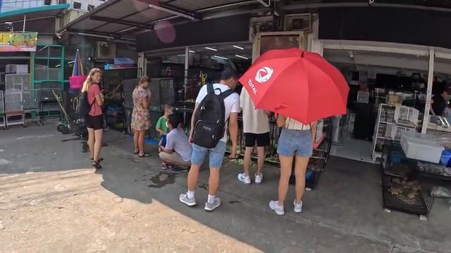 Bisikletle Güneydoğu Asya turunun son durağı Bangkok #165 смотреть онлайн
