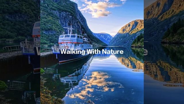 Petroglyphs Horses смотреть онлайн