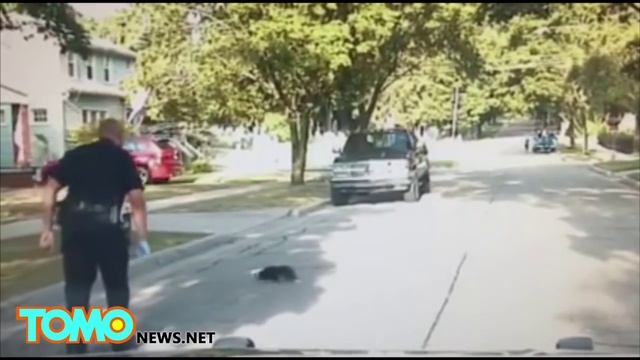 Полицейский спас детёныша скунса, застрявшего в банке из-под йогурта смотреть онлайн