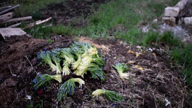 От меня ничего не зависит!Точно??? :-)