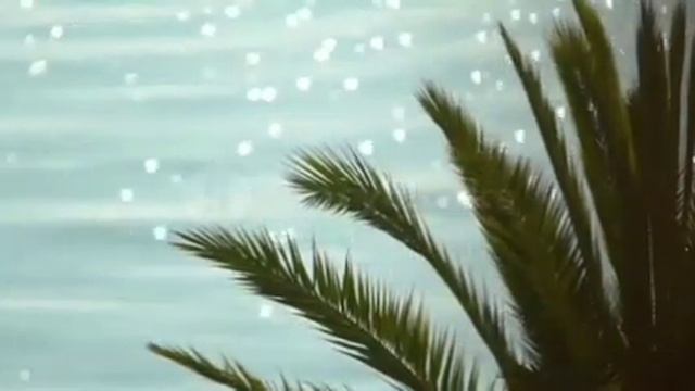 Сура Аль Вакиа | Сура от бедности | Билал Дарбали