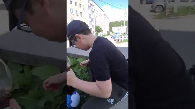 Какая бывает дружба. #друзьялучшие #лайкподписка #мем смотреть онлайн