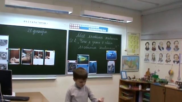 Что я знаю о своём любимом животном? Африканский ёжик. Акула. Проект 1 класс. смотреть онлайн