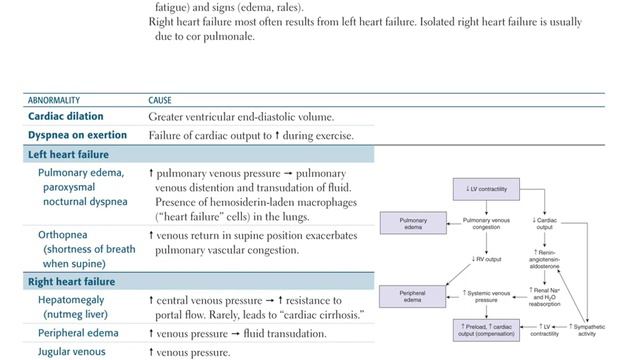 Cardiovascular Pathology Part 2 смотреть онлайн