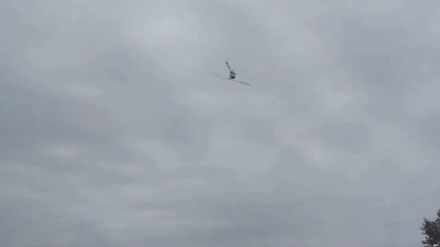 RC helicopter ALIGN T-Rex 700E DFC (dimad) смотреть онлайн