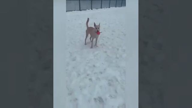 АлЯска смотреть онлайн