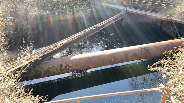 Ambient Jam #6 with Waldorf Blofeld, Behringer Deepmind 12, Arturia Microfreak смотреть онлайн