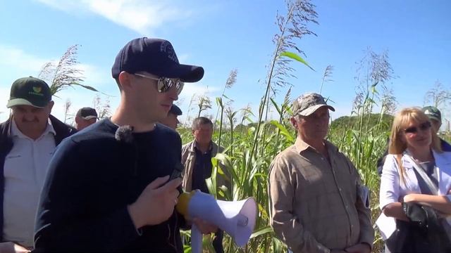 Покровные культуры. Как добиться всходов? Что сеять? В чем польза? смотреть онлайн