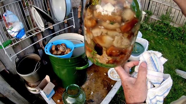 Засолка грибов, рецепт (кулачки) смотреть онлайн
