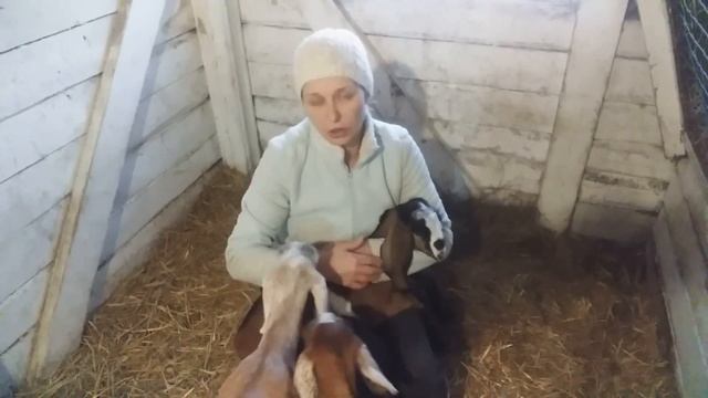 Как Разбогатеть фермеру на ютубе...смотрите описание под роликом смотреть онлайн