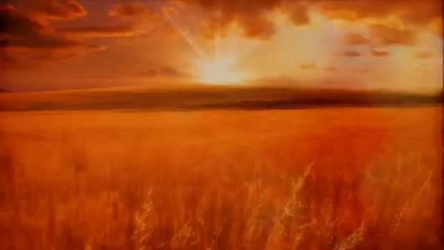 ЗОЛОТЫЕ ЗАКАТЫ смотреть онлайн