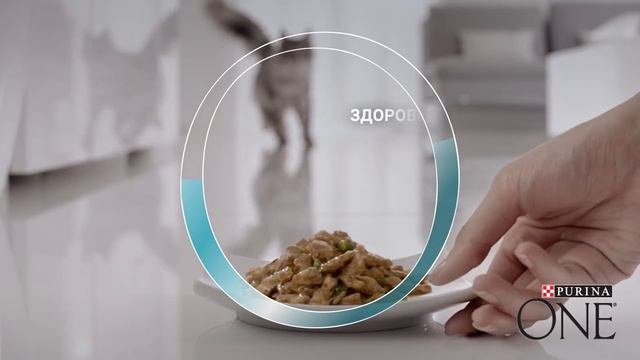 Purina ONE®. Кормите правильно