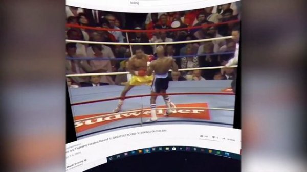 Virtual Desktop Streamer