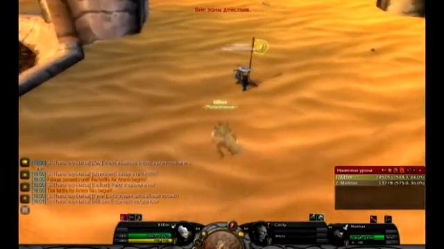 PvP Arena Imperial WoW Server