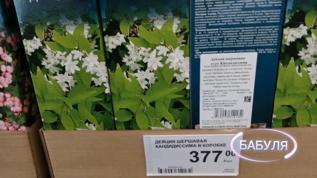 РАССАДА ЦВЕТОВ, ОВОЩЕЙ, ОБИЛИЕ САЖЕНЦЕВ... И ВСЕ ЭТО В ЛЕРУА МЕРЛЕН смотреть онлайн