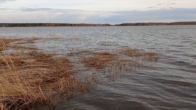 Руки смотреть онлайн