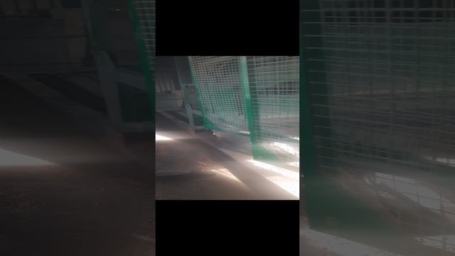 1000009989.mp4 Богдан смотреть онлайн